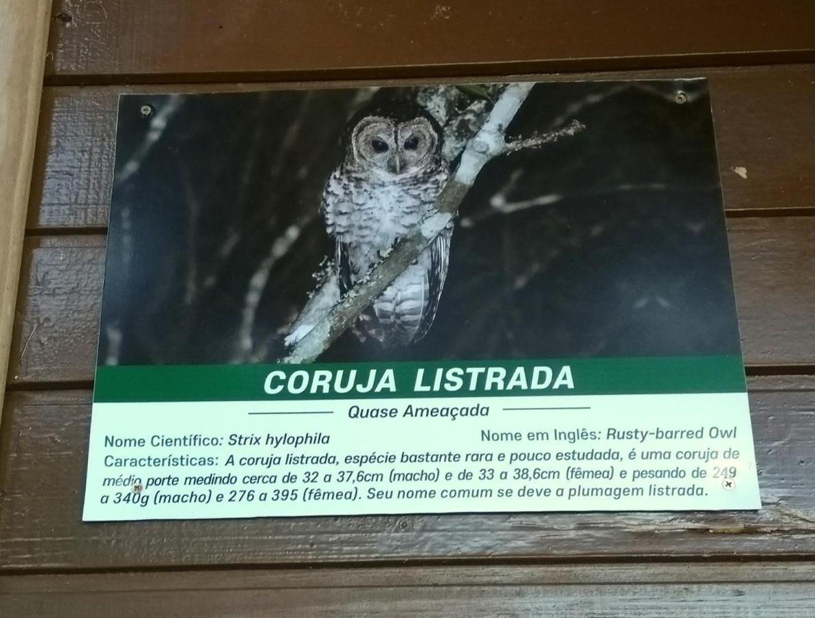 Recanto Da Mata Pousada São Francisco de Paula Dış mekan fotoğraf
