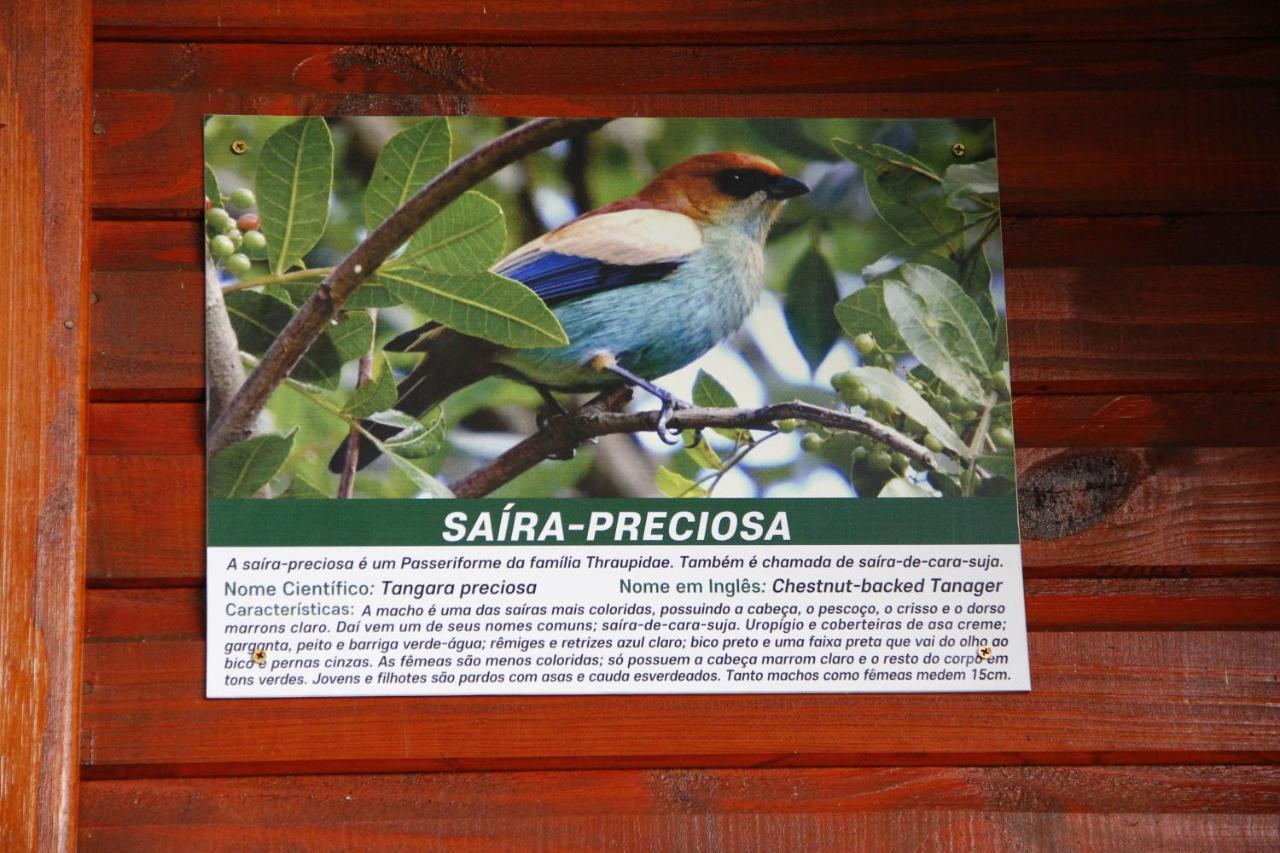Recanto Da Mata Pousada São Francisco de Paula Dış mekan fotoğraf