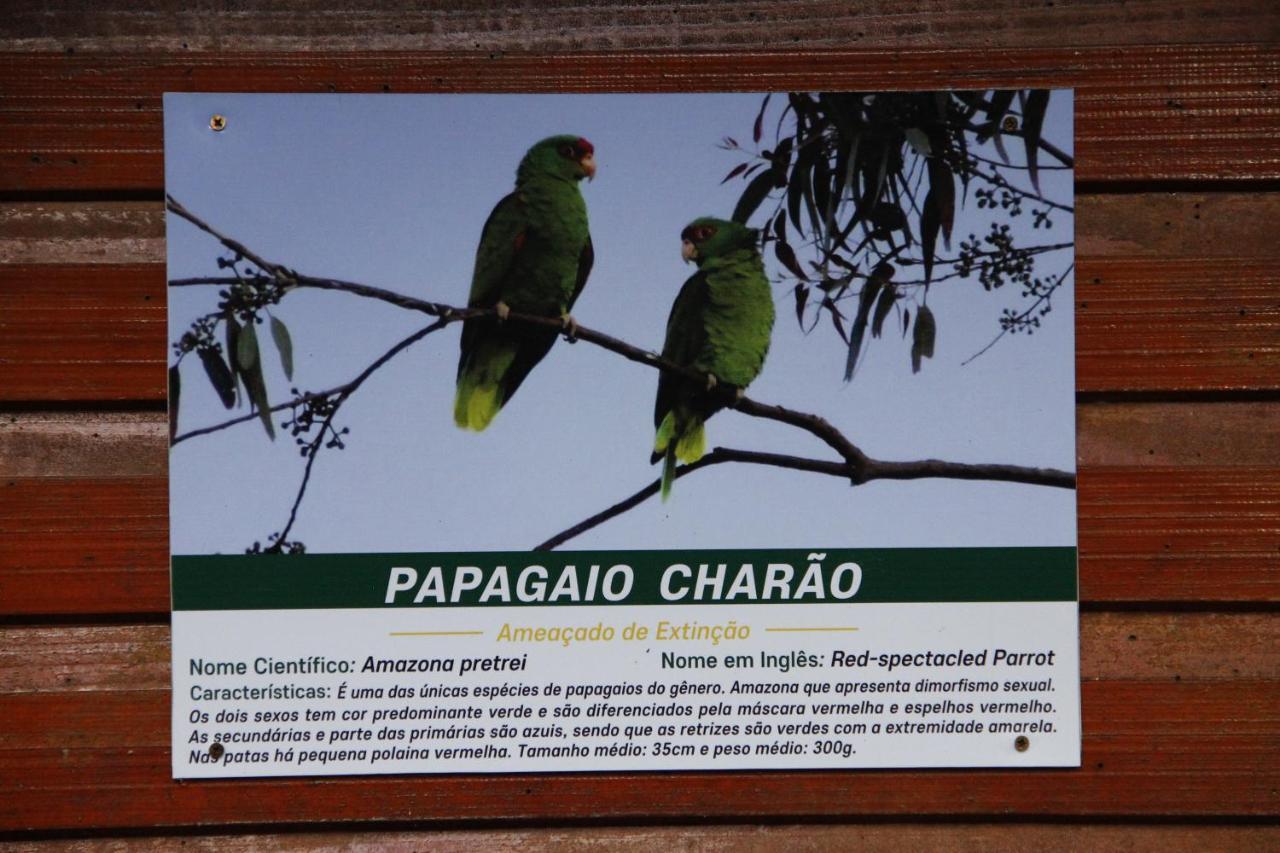 Recanto Da Mata Pousada São Francisco de Paula Dış mekan fotoğraf