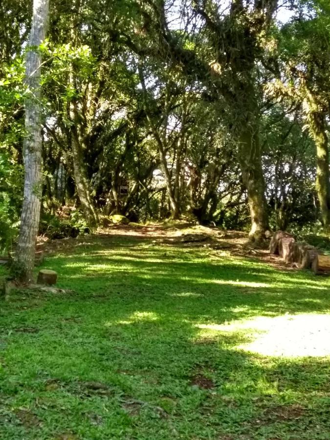 Recanto Da Mata Pousada São Francisco de Paula Dış mekan fotoğraf