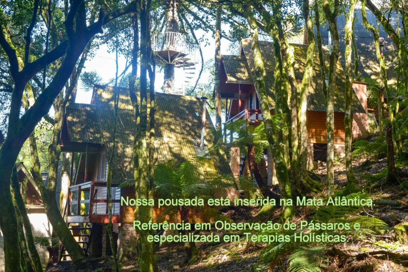 Recanto Da Mata Pousada São Francisco de Paula Dış mekan fotoğraf